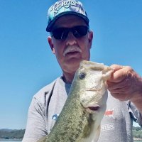Pat “Lip Ripper” McChubb (@patmcchubb) 's Twitter Profile