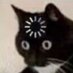 Taffer (@thicctaffer) Twitter profile photo Taffer (@thicctaffer) Twitter profile photo