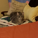 kelli fulton - @FultonKell49680 - Twitter