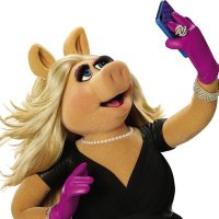 vedette (@vedettevibes) 's Twitter Profile