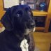 T (@moonytroy) Twitter profile photo T (@moonytroy) Twitter profile photo
