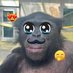 yo *:・゚✧*:・゚ (@gabbagool404) Twitter profile photo yo *:・゚✧*:・゚ (@gabbagool404) Twitter profile photo