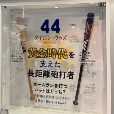 『しかし詩人の攻撃は全く効きませんでした なぜなら彼女はナポレオンだったからです』ボーボボ好きのドラゴンズファン。まろやかに呟きます。