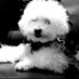 ludwig (@ludwig04021935) Twitter profile photo ludwig (@ludwig04021935) Twitter profile photo