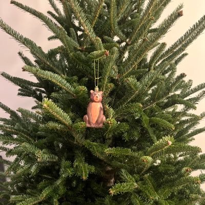 ColinReilly_17's profile picture. 