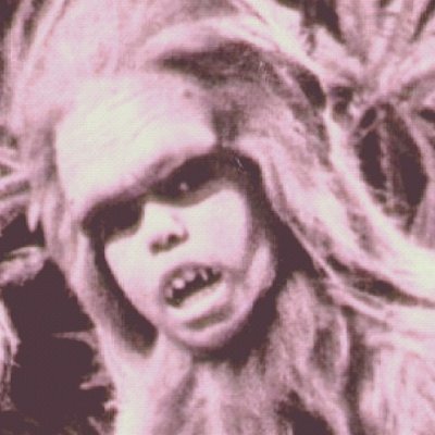 PunchArtist Profile