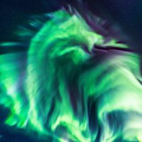 Cerridwyn Vaughn (@cerridwynvaughn) 's Twitter Profile Photo Cerridwyn Vaughn (@cerridwynvaughn) 's Twitter Profile Photo