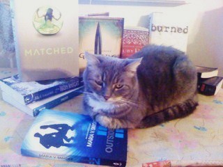 Reviewer on Kidlit Creatures blog, all about the animals in fave kidlit books.