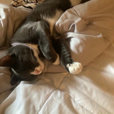 DaniBiss8785's profile picture. 