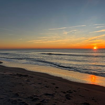 Gamblor1730's profile picture. Knowledge is good.