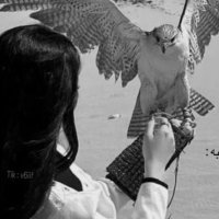 Anoud. (@3noud_v) 's Twitter Profile