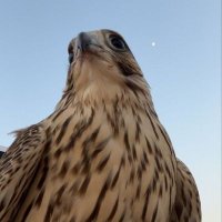 JA (@wfck) Twitter profile photo