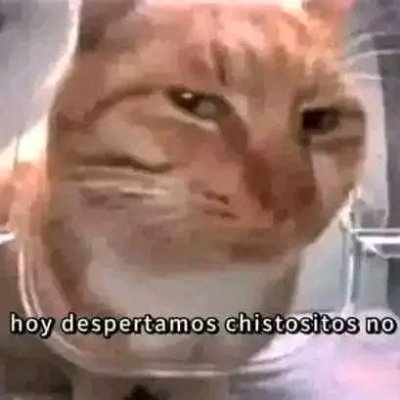 Jeremy739882785's profile picture. 