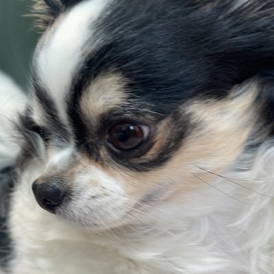 8cODVGYUcy22IiZ's profile picture. 