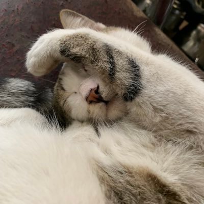 phillhn691's profile picture. Chàng chai đã bật nắp