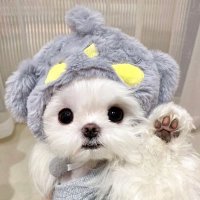 3️⃣ JO1 シリアル相談 (@jo1__ank) 's Twitter Profile