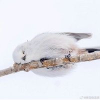 Kako.希希比 (@kako_uom) Twitter profile photo