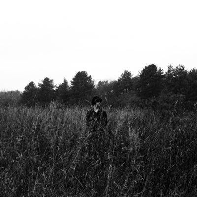 Current Foxes Profile