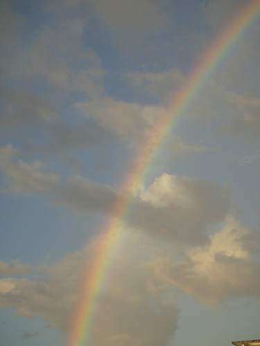 SandrineLiger's profile picture. Enseignante, ERUN, mère de famille et geek évidemment (le tout dans le désordre 😜)...oups ! j’oubliais chef de choeur de Chansoleil, chorale laïque a capella