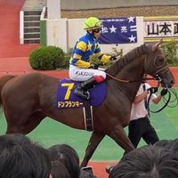 ドソフラソキー (@ginga_tetsu_do) 's Twitter Profile
