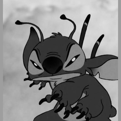 yordao_o's profile picture. 07🚺 #春から鳥大／農／獣医