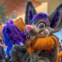 Hugz N. Snugz 🔜 FWA 2025 (@hugz_n_snugz) 's Twitter Profile Photo Hugz N. Snugz 🔜 FWA 2025 (@hugz_n_snugz) 's Twitter Profile Photo