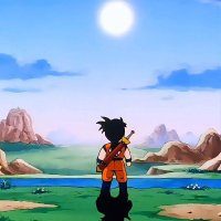 PNDH (@pndhrl) 's Twitter Profile