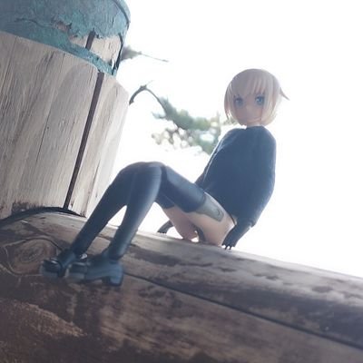 オハオハ ( OwO)さんのプロフィール画像
