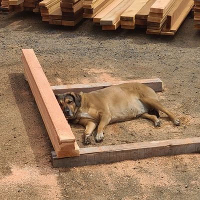 Bringer of Sawdust.
