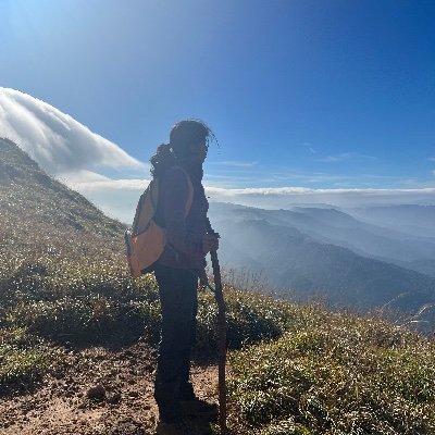 SindhuRedd53254's profile picture. 