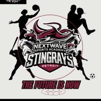 NextWaveSportsAcademyDetroit (@nextwavehoops) 's Twitter Profile