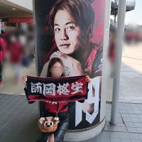 赤トンボ (@voting205) 's Twitter Profile