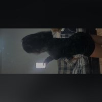 Sammm (@mbalwaysworld_) 's Twitter Profile