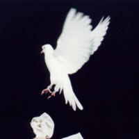 bixby (@ihatebixby) 's Twitter Profile Photo bixby (@ihatebixby) 's Twitter Profile Photo