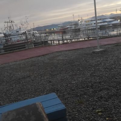 ttttbbbxxx's profile picture. 