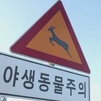 도시락 (@ggerong_rong) 's Twitter Profile