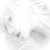 sei (@z9rly) Twitter profile photo sei (@z9rly) Twitter profile photo
