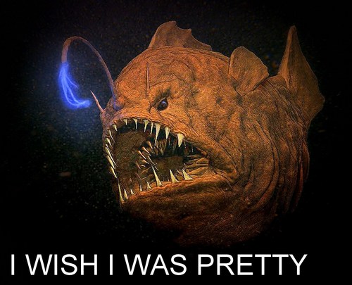 JackieJormpJ's profile picture. I am rad