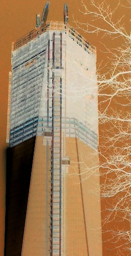 akaMANCA's profile picture. 