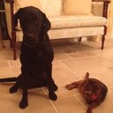 Logan Moncrief - @LoganMoncrief - Twitter