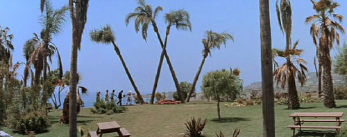 beerbuoy's profile picture. 