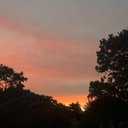 Edith Salgado - @salgado_ed20935 - Twitter