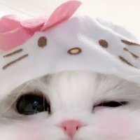 a♡ (@p_qo_0) 's Twitter Profile Photo a♡ (@p_qo_0) 's Twitter Profile Photo