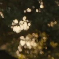 M.N. Miller (@mnmillerfilmrev) 's Twitter Profile