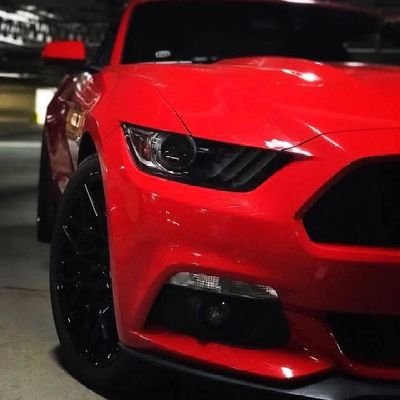 Cristia50688210's profile picture. 