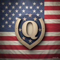 THE QSTORM DEFENDER (@qstormdefender) 's Twitter Profile Photo THE QSTORM DEFENDER (@qstormdefender) 's Twitter Profile Photo
