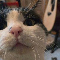 ぎん (@poppo377724) 's Twitter Profile