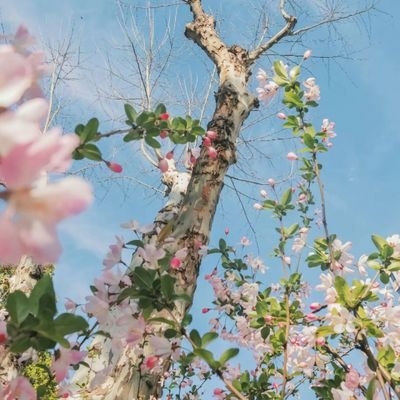 zhengxu799457's profile picture. 专注链上金狗，发掘高倍x，有好的角度可以私  共同建设财富