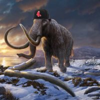 Mammoth Sox (@mammothsox) 's Twitter Profile
