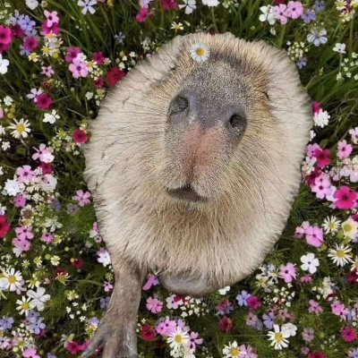 gvHU6LH9hc19935's profile picture. 